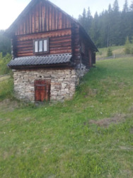 ��������� ������� ������� �����, ������� ������, �������������, �����-���������� ���� 8