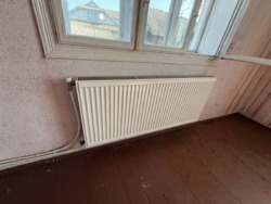 ��������� ������� ������������, �����-���������� ���� 12