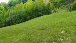 ��������� ������� �������, �����-���������� ���� 8