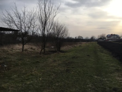 ��������� ������� ϳ�������, �����-��������� ����, �����-���������� ���� 7