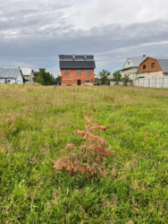 ��������� ������� ������� ������, �������������, �����-���������� ���� 3