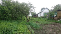 ��������� ������� ����������, ������������, �����-���������� ���� 3