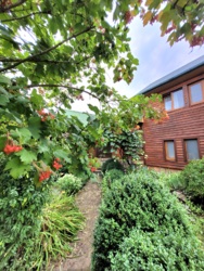 Будинок 140 мкв+50 сот землі. фото 53 Будинок 140 мкв+50 сот землі. фото 53