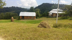Продається будинок Річка, Косівський, Івано-Франківська фото 4 Продається будинок Річка, Косівський, Івано-Франківська фото 4