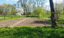 ��������� ������� ������, 40�, ������, ������������, �����-���������� ���� 4