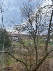 ��������� ������� ���������, ������������, �����-���������� ���� 18