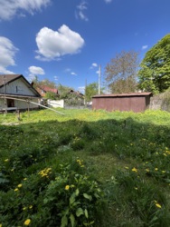 ������������� ������� ���� 11