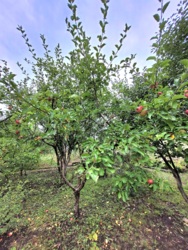 Будинок 140 мкв+50 сот землі. фото 48 Будинок 140 мкв+50 сот землі. фото 48