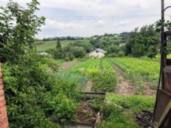 ��������� ������� ������������, �����-���������� ���� 7