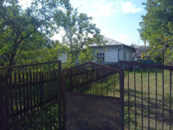 ��������� ������� ������������, ������, ���������������, �����-���������� ���� 5