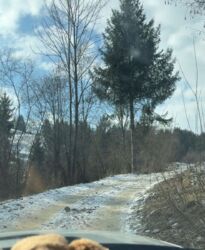 ��������� ������� ������, �������������, �����-���������� ���� 11