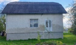 ��������� ������� ������, 40�, ������, ������������, �����-���������� ���� 2