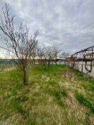 ��������� ������� ѳ����� ��������, ���� ���������, ������������, �����-���������� ���� 17