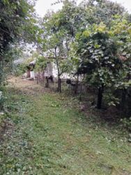 ��������� ������� ���. �. �������������, 27, ���������, ������������, �����-���������� ���� 6