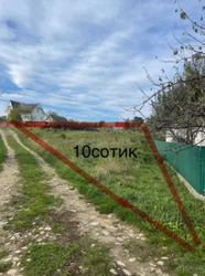 ��������� ������� �����������, 36, ��������, �������������, �����-���������� ���� 7