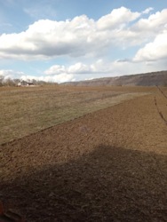 ��������� ������� �����-����������, ��������������, ���������, ���������� ���� 12