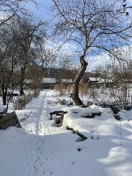 ��������� ������� �����-���������, �����-����������, ��������� ���� 1