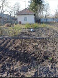 ��������� ������� ��'����, 2, �������, ����������, �����-���������� ���� 5