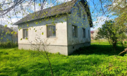 ��������� ������� ������, 40�, ������, ������������, �����-���������� ���� 3