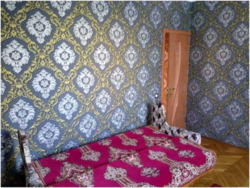 ��������� ������� ѳ���������, 152, �����-���������, �����-����������, ������ ���� 10