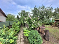 Будинок 140 мкв+50 сот землі. фото 62 Будинок 140 мкв+50 сот землі. фото 62