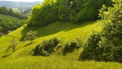 ��������� ������� �������, �����-���������� ���� 2