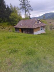 ��������� ������� ������� �����, ������� ������, �������������, �����-���������� ���� 5