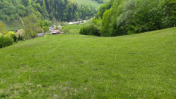 ��������� ������� �������, �����-���������� ���� 7