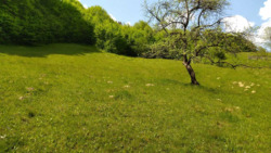 ��������� ������� �������, �����-���������� ���� 15