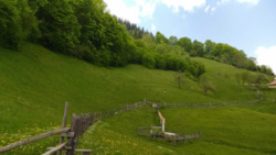 ��������� ������� �������, �����-���������� ���� 18