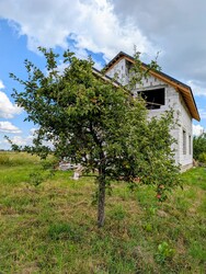 Продається будинок Польова, Радча, Тисменецький, Івано-Франківська фото 12 Продається будинок Польова, Радча, Тисменецький, Івано-Франківська фото 12