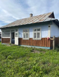 ��������� ������� �����������, 36, ��������, �������������, �����-���������� ���� 1