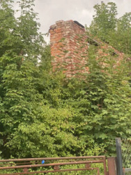 ��������� ������� �������, ������������, �����-���������� ���� 7