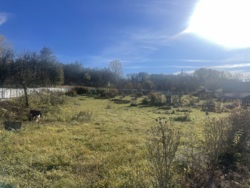 Продається будинок Івано-Франківська, Тлумацький, Тлумач фото 10 Продається будинок Івано-Франківська, Тлумацький, Тлумач фото 10