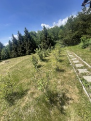 Продається будинок Незалежності, Підгірря, Богородчанський, Івано-Франківська фото 9 Продається будинок Незалежності, Підгірря, Богородчанський, Івано-Франківська фото 9