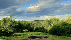 ��������� ������� �����������, 47, �������, ���������������, �����-���������� ���� 16