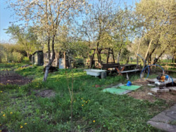 ��������� ������� ϳ������, �����-��������� ����, �����-���������� ���� 7