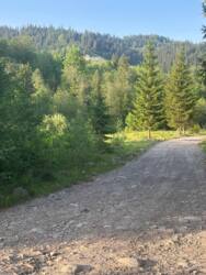 ��������� ������� ��������, �������������, �����-���������� ���� 10