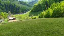 ��������� ������� �������, �����-���������� ���� 10