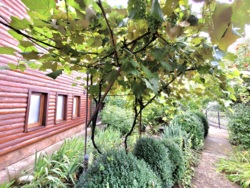 Будинок 140 мкв+50 сот землі. фото 60 Будинок 140 мкв+50 сот землі. фото 60