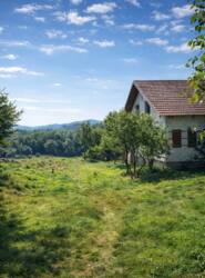 ��������� ������� �����-����������, ���������, ��������� ���� 1