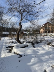 ��������� ������� �����-���������, �����-����������, ��������� ���� 2