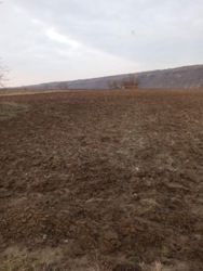 ��������� ������� �����-����������, ��������������, ���������, ���������� ���� 10