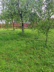 Продається будинок Слобода Долинська, 145, Слобода -Долинська, Долинський, Івано-Франківська фото 5 Продається будинок Слобода Долинська, 145, Слобода -Долинська, Долинський, Івано-Франківська фото 5