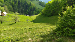 ��������� ������� �������, �����-���������� ���� 14