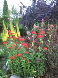 Будинок 140 мкв+50 сот землі. фото 7 Будинок 140 мкв+50 сот землі. фото 7