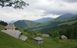 Продається будинок Кривопілля, Верховинський, Івано-Франківська фото 5 Продається будинок Кривопілля, Верховинський, Івано-Франківська фото 5