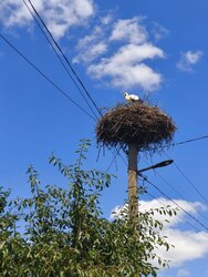 Продається будинок Рожнятівський, Івано-Франківська фото 15 Продається будинок Рожнятівський, Івано-Франківська фото 15