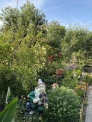 Продам дом на Николаеввке в Кропивницком фото 7 Продам дом на Николаеввке в Кропивницком фото 7