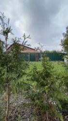 Продам будинок на Новій Балашівці в Кропивницькому фото 22 Продам будинок на Новій Балашівці в Кропивницькому фото 22